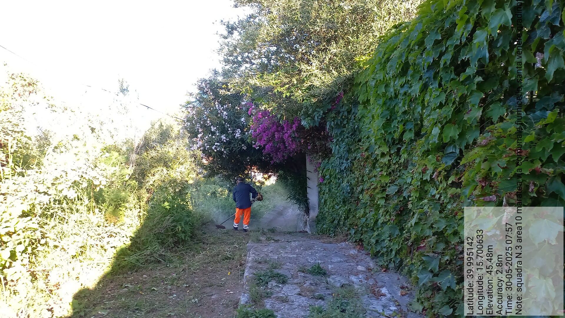 Galleria Fotografica Immagine