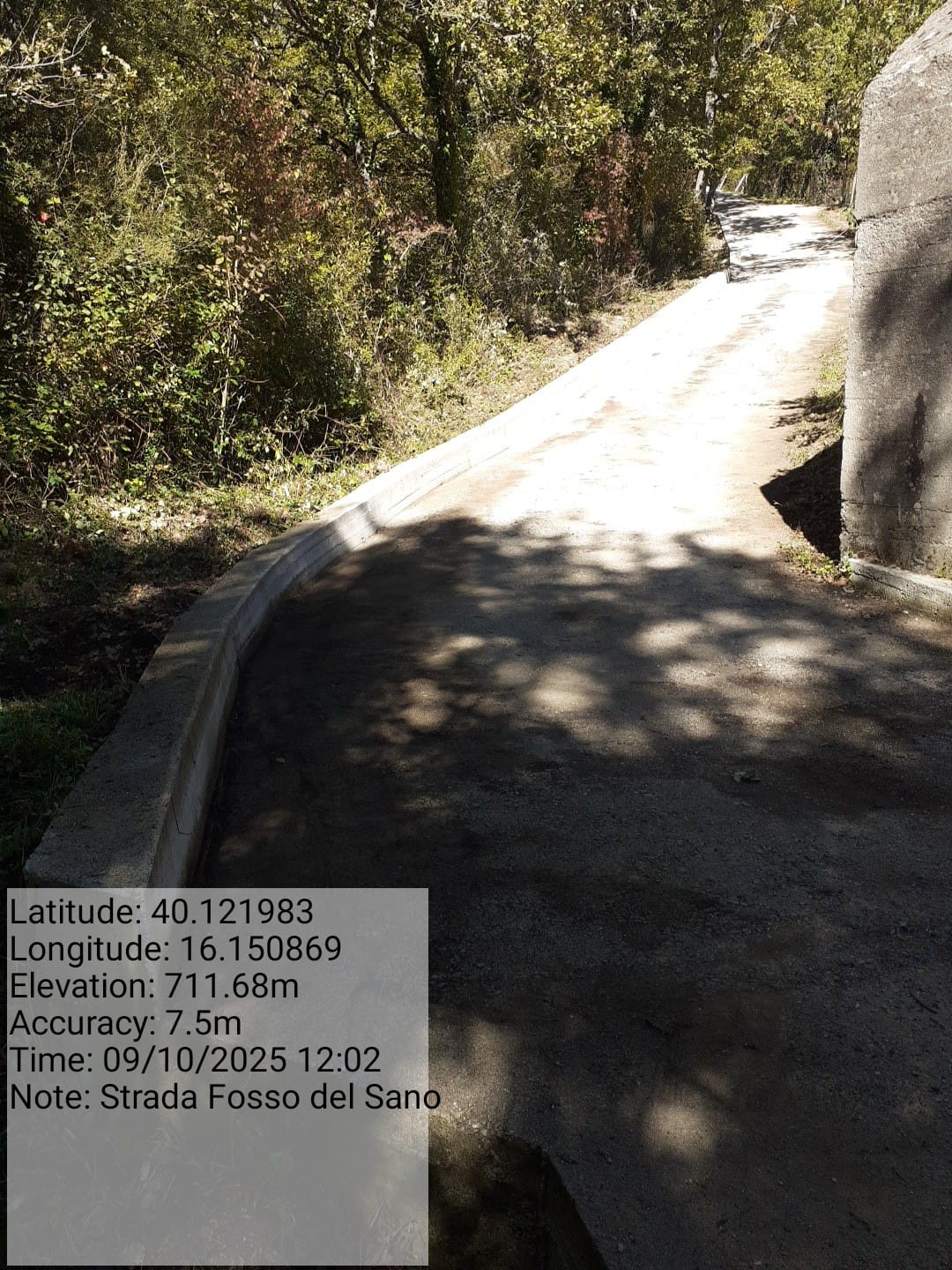 Galleria Fotografica Immagine