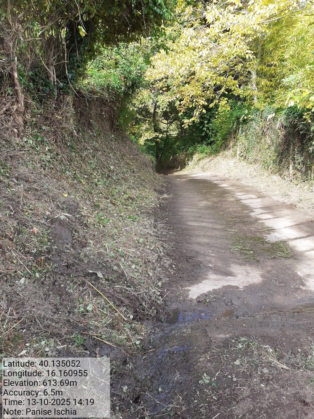 Galleria Fotografica Immagine