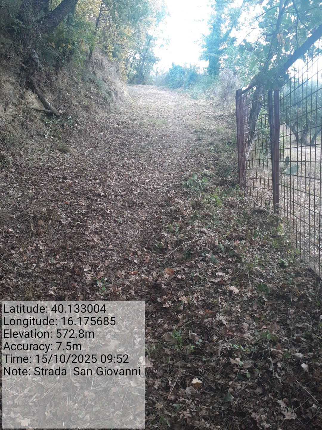 Galleria Fotografica Immagine