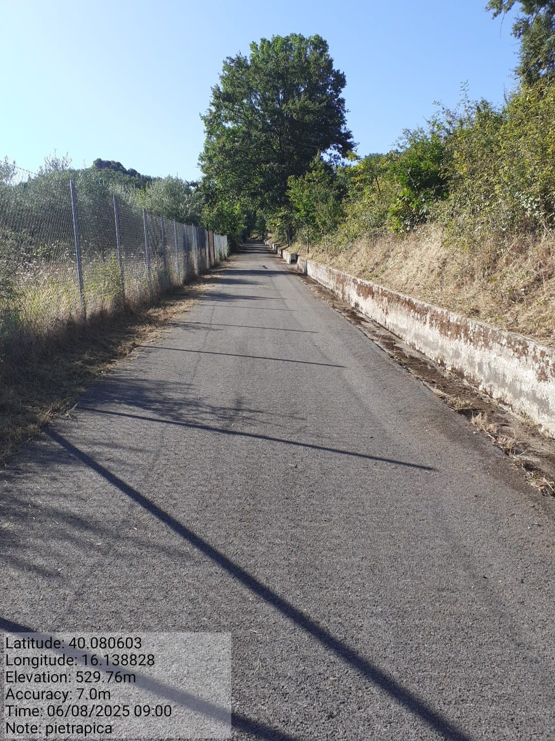 Galleria Fotografica Immagine