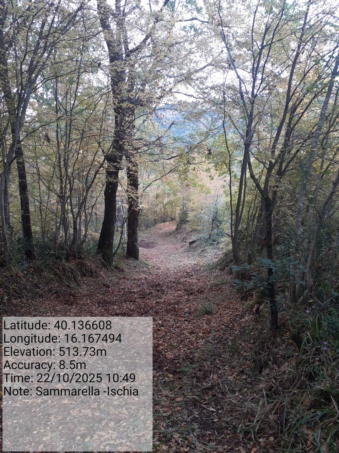 Galleria Fotografica Immagine