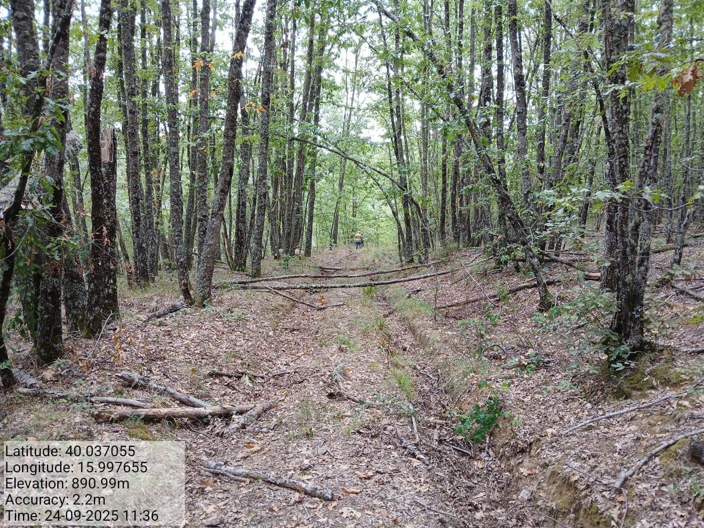 Galleria Fotografica Immagine