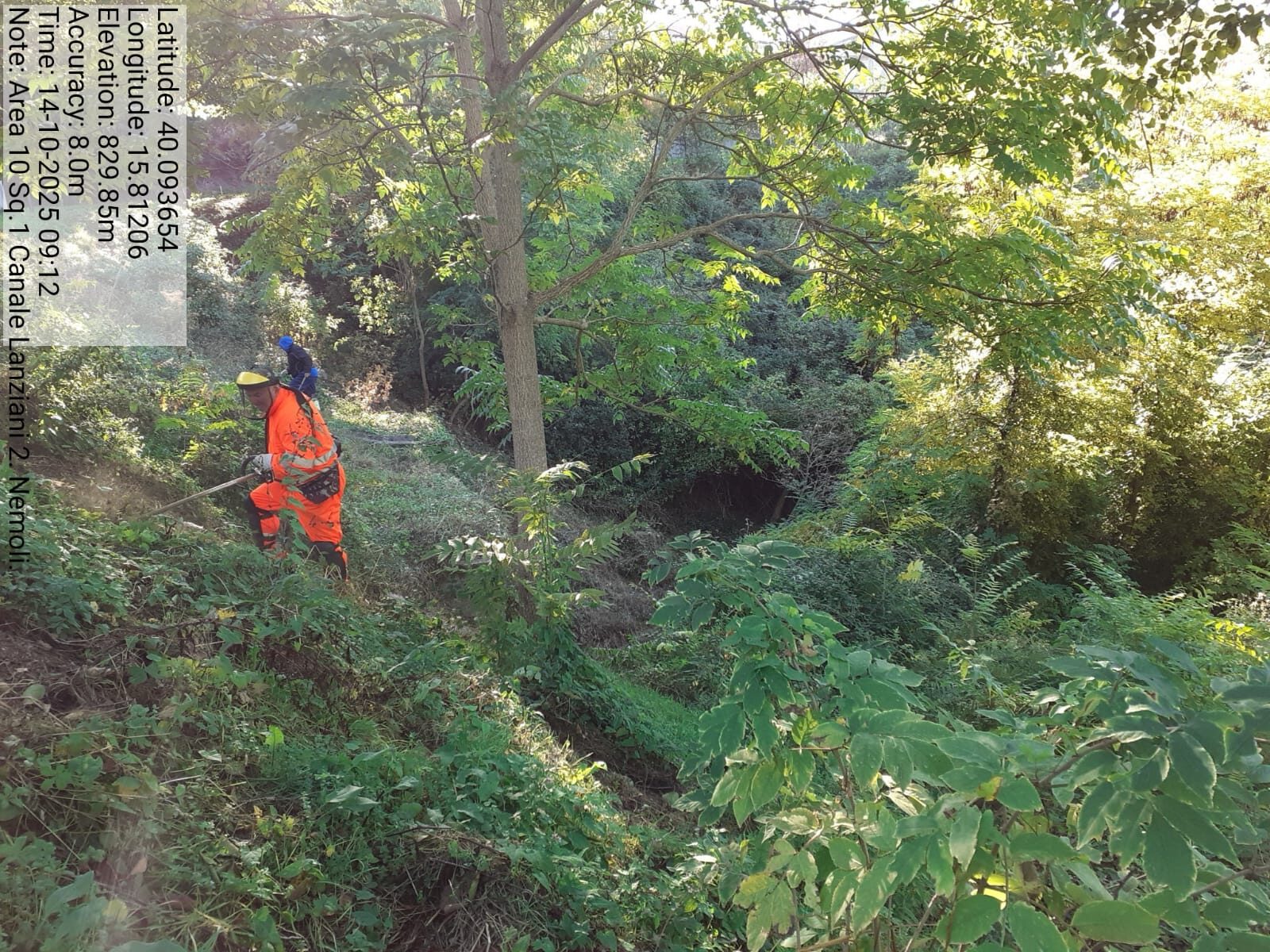 Galleria Fotografica Immagine