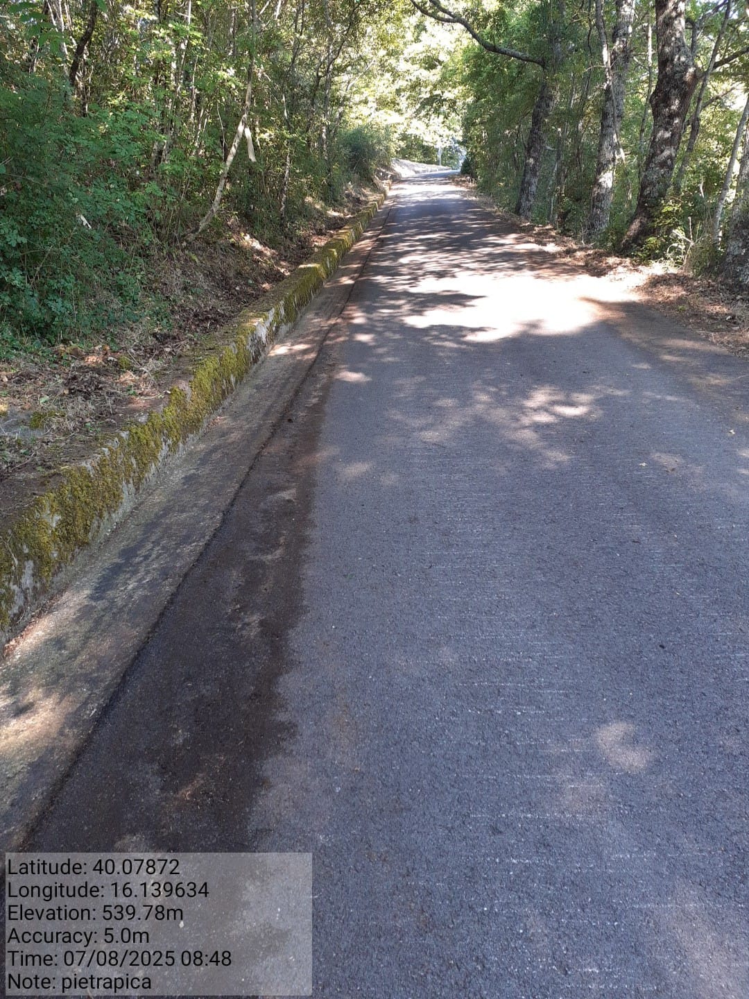 Galleria Fotografica Immagine