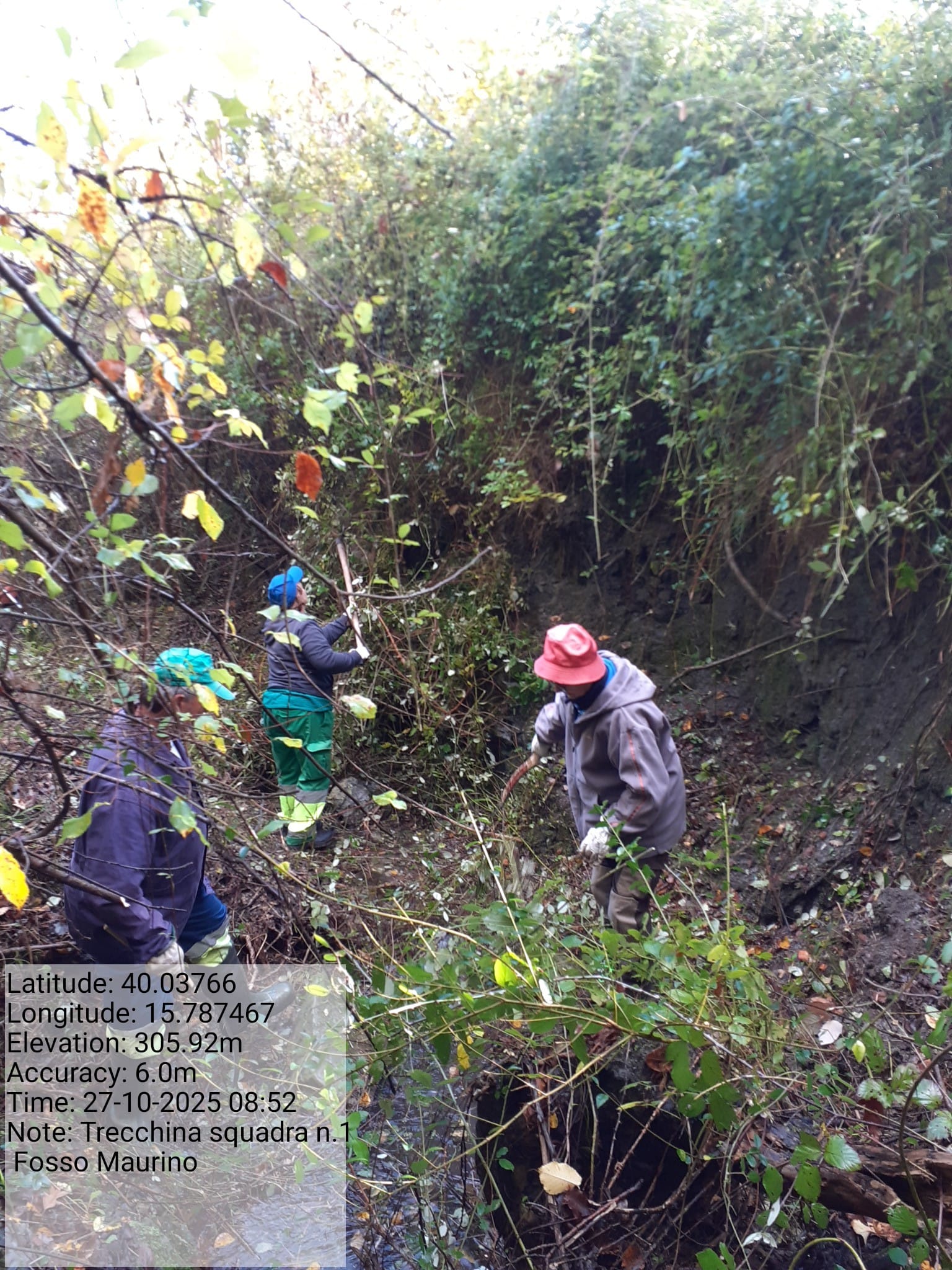 Galleria Fotografica Immagine