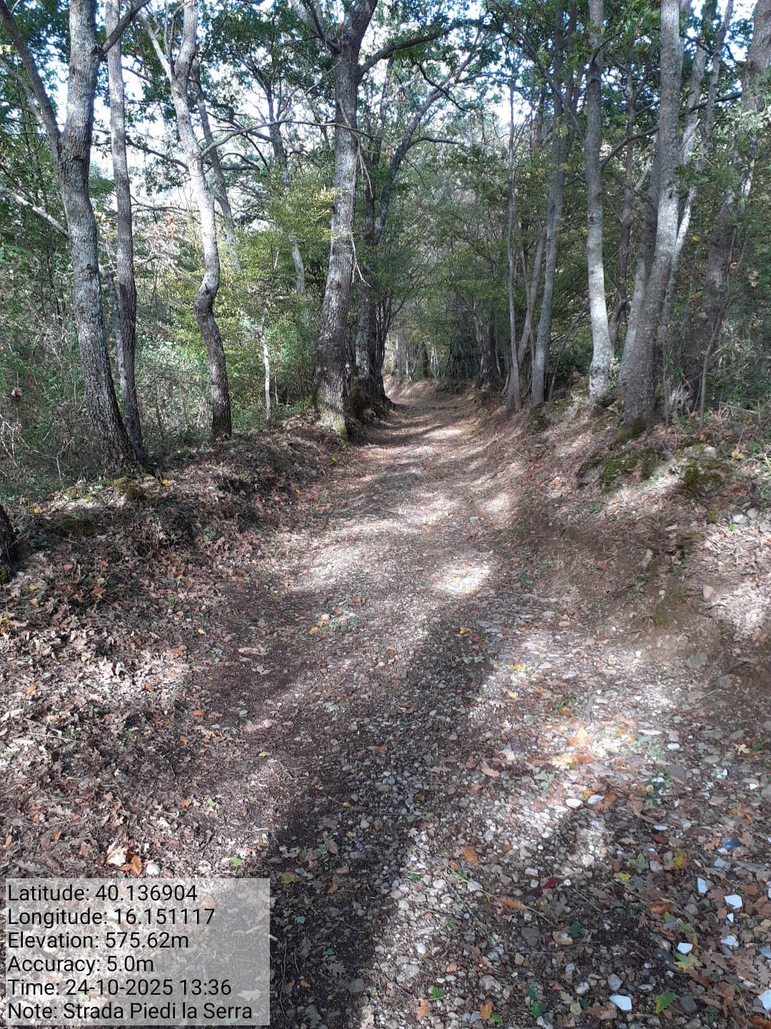 Galleria Fotografica Immagine