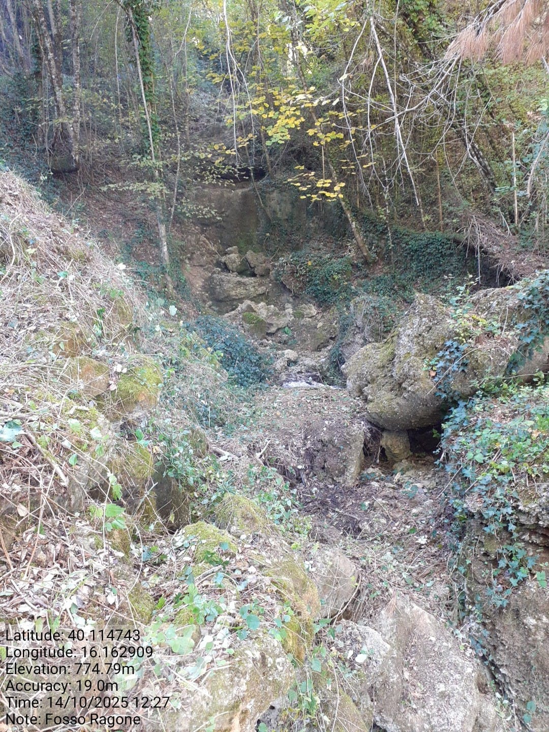 Galleria Fotografica Immagine