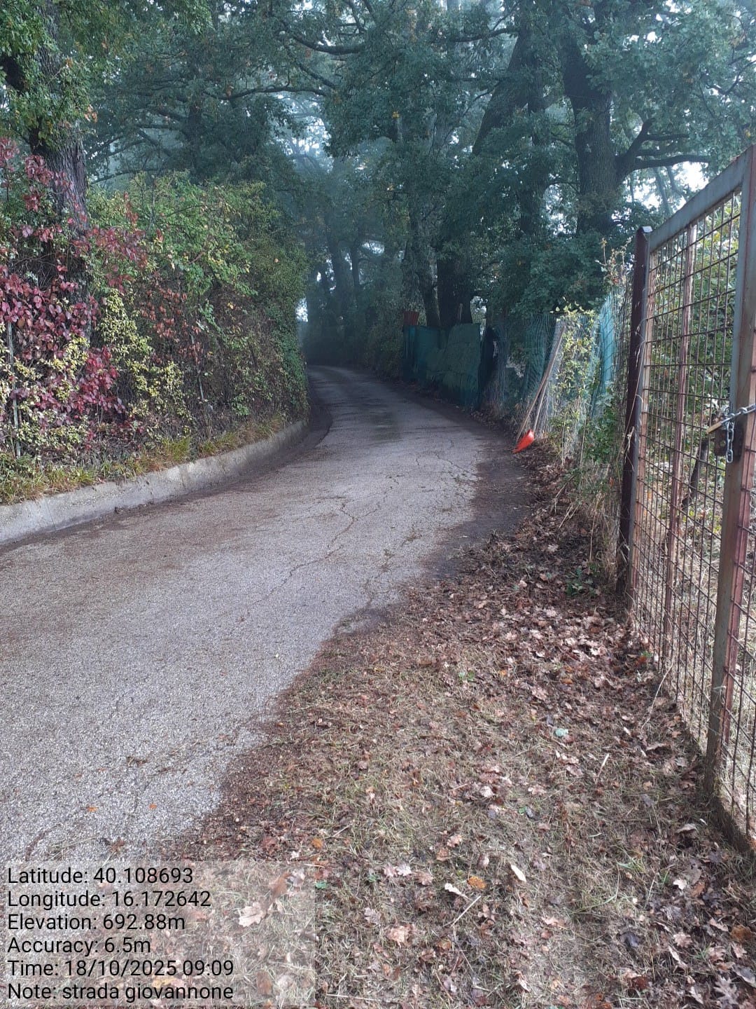 Galleria Fotografica Immagine