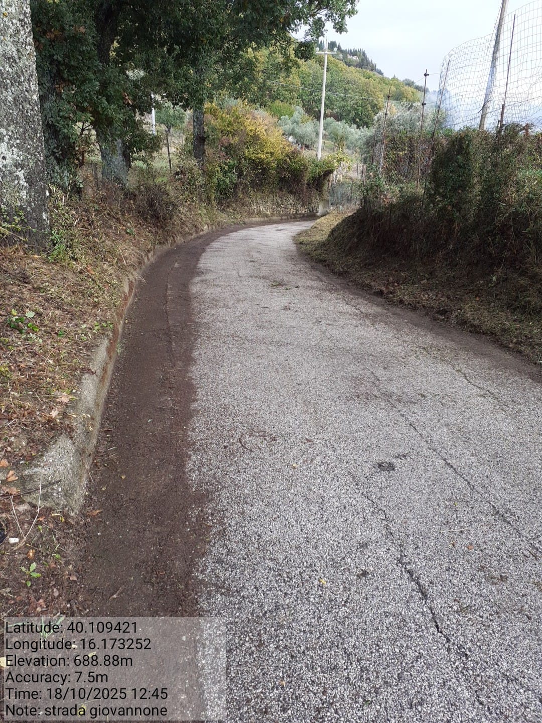 Galleria Fotografica Immagine