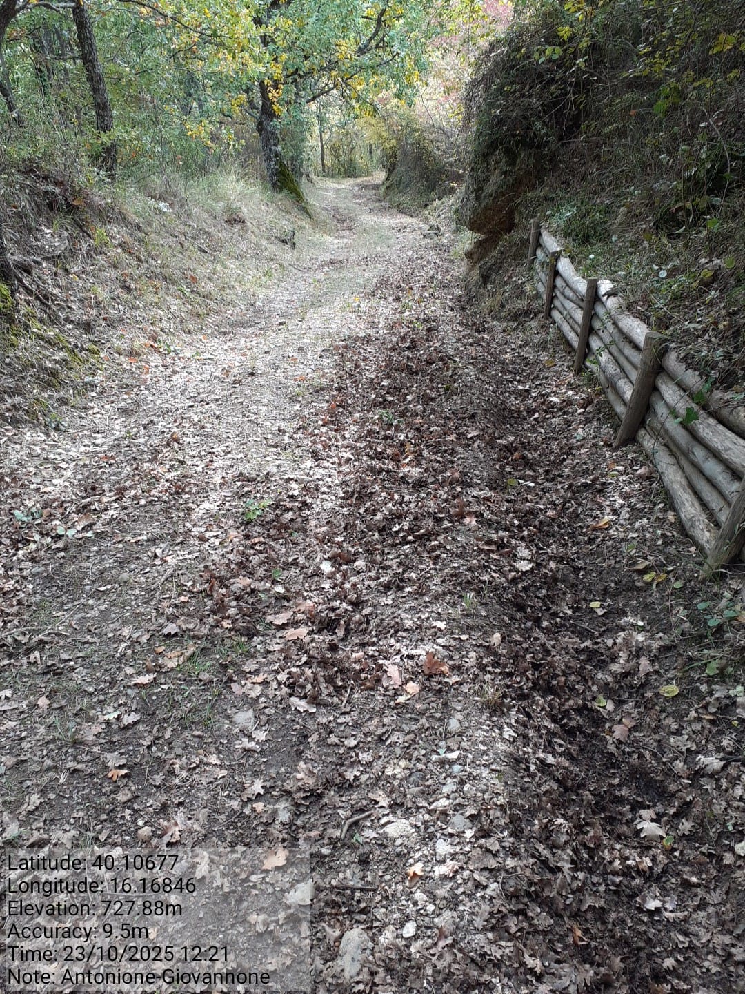 Galleria Fotografica Immagine