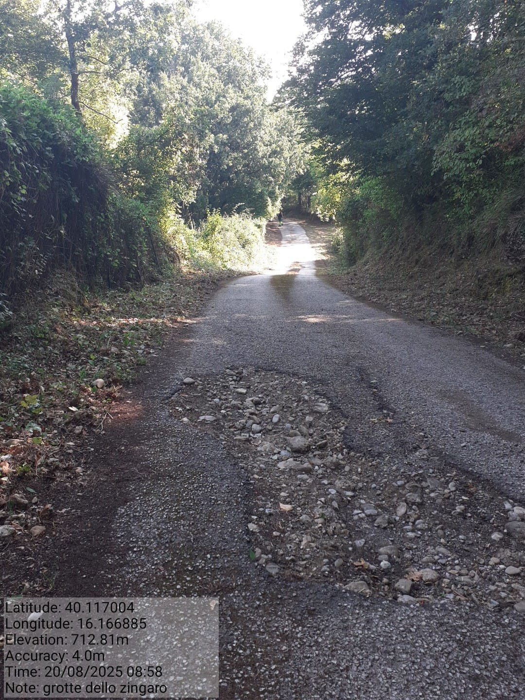 Galleria Fotografica Immagine