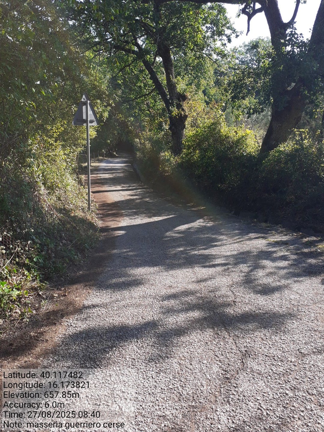 Galleria Fotografica Immagine