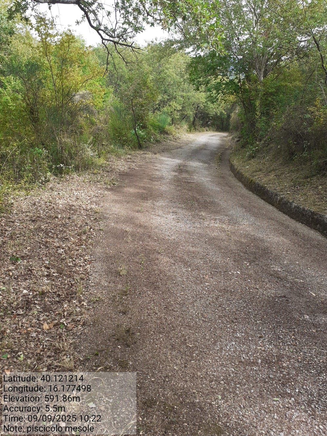 Galleria Fotografica Immagine