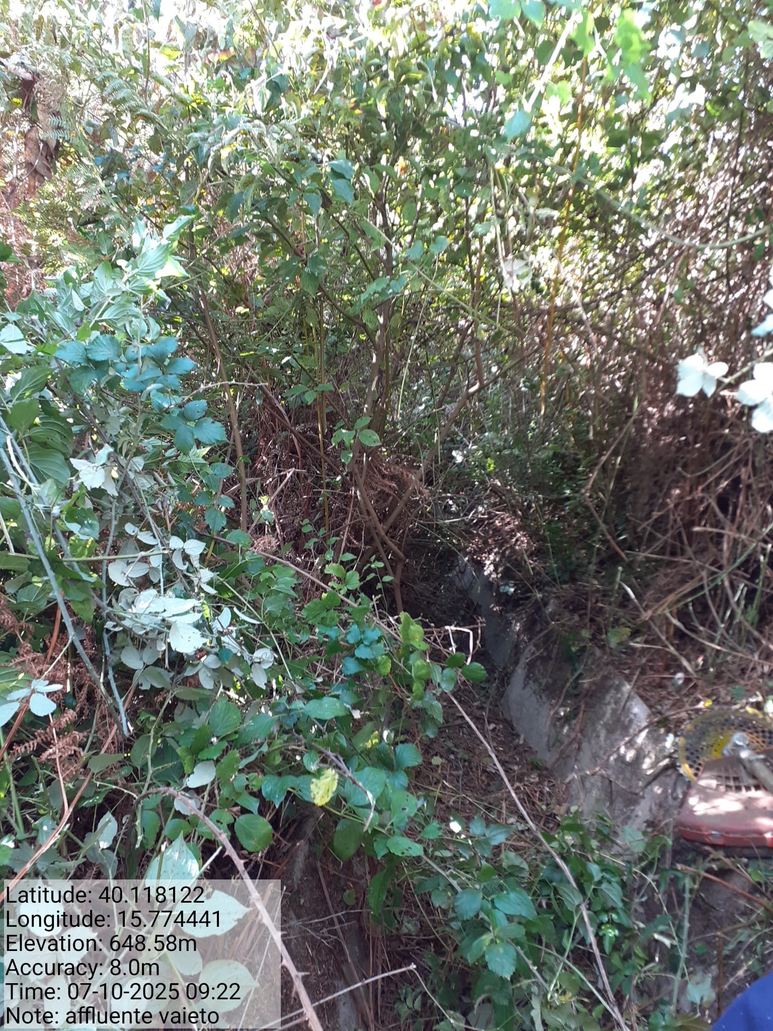 Galleria Fotografica Immagine