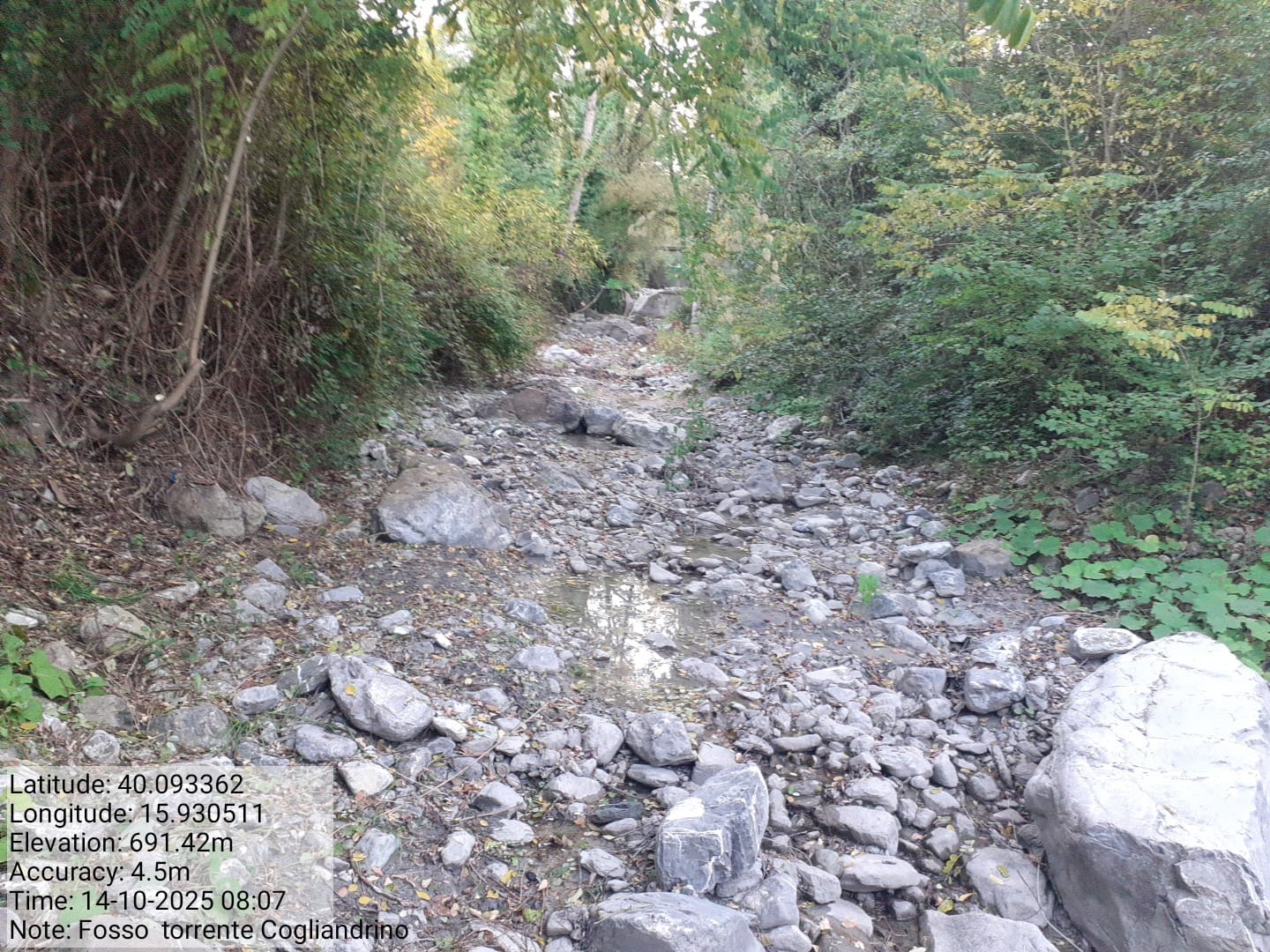 Galleria Fotografica Immagine