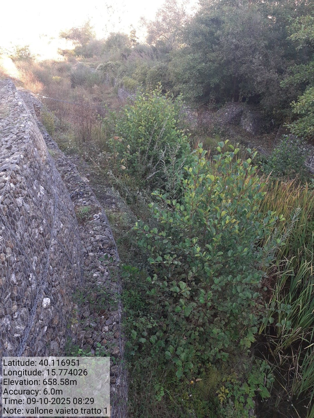 Galleria Fotografica Immagine