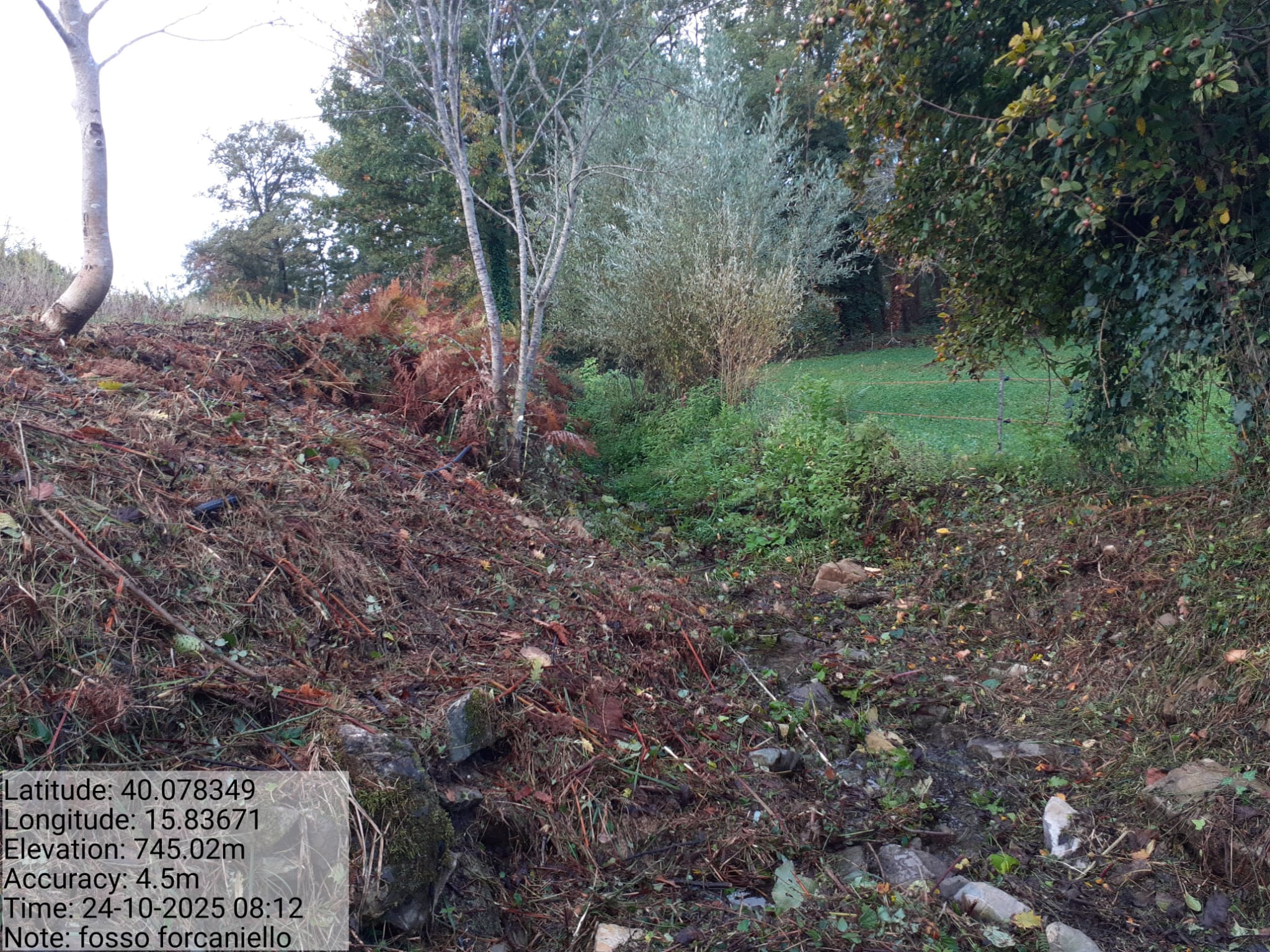 Galleria Fotografica Immagine