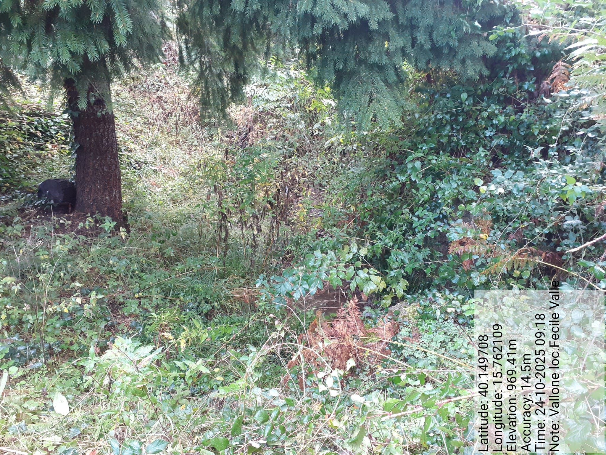 Galleria Fotografica Immagine