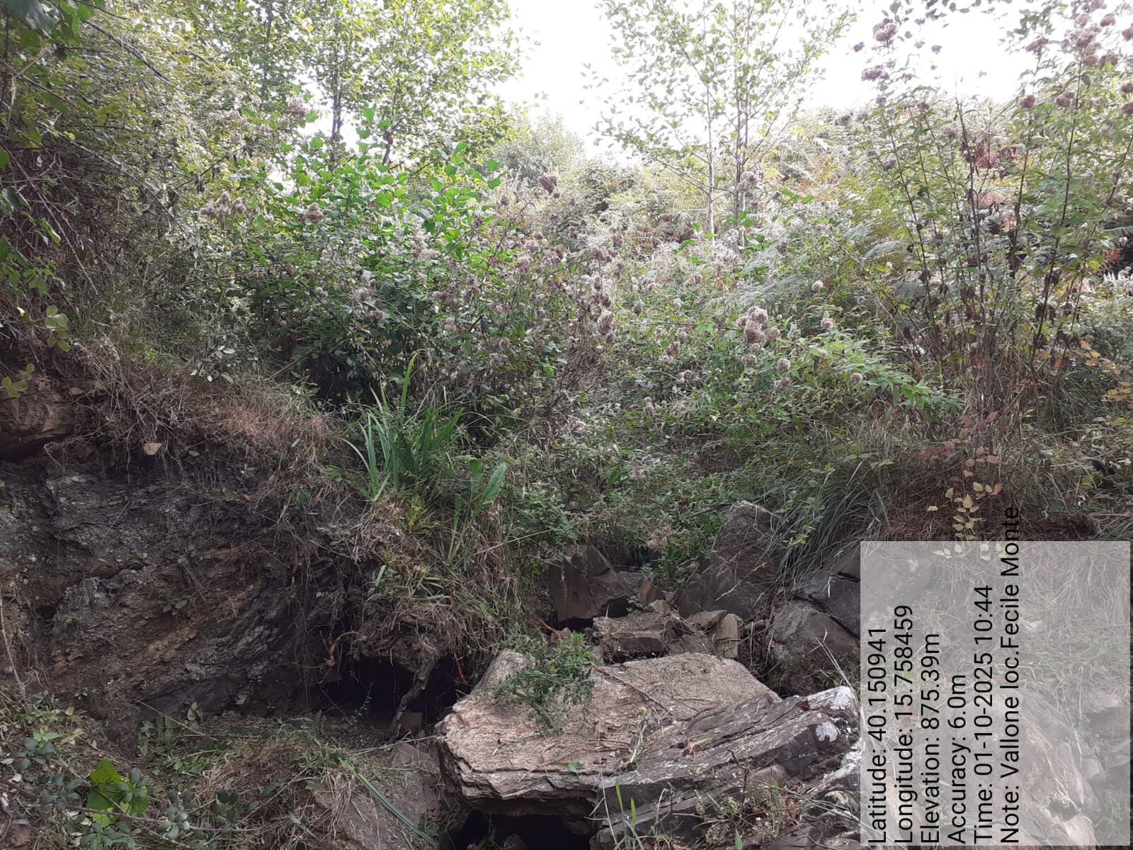 Galleria Fotografica Immagine