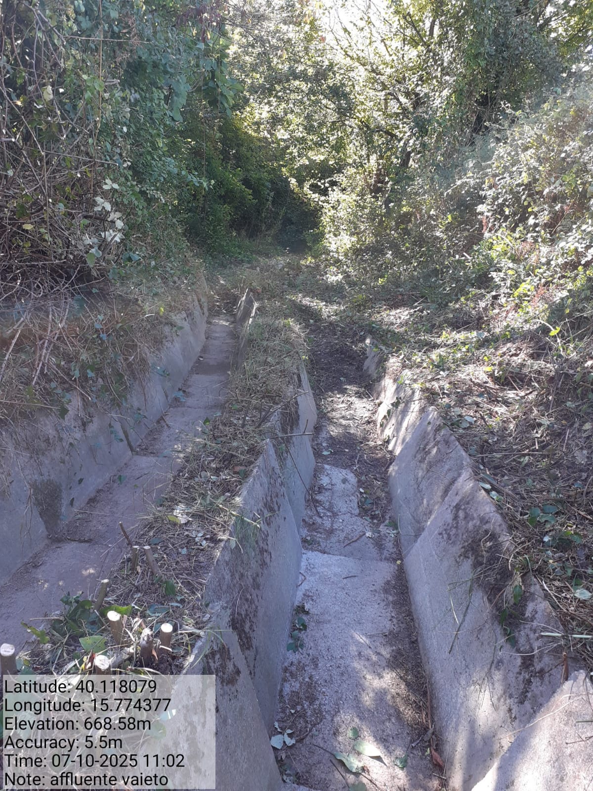 Galleria Fotografica Immagine