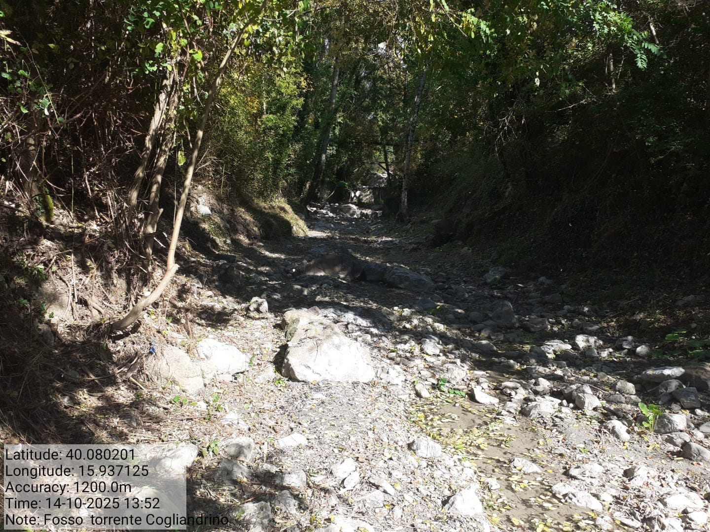 Galleria Fotografica Immagine