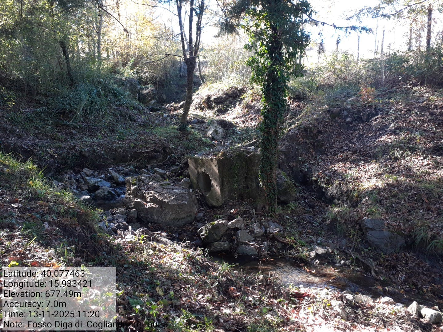 Galleria Fotografica Immagine