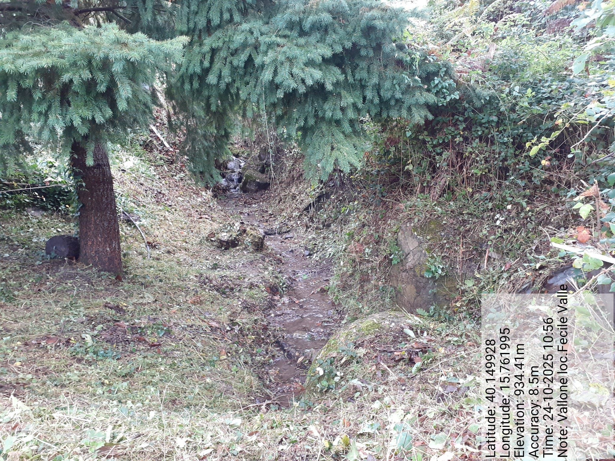 Galleria Fotografica Immagine