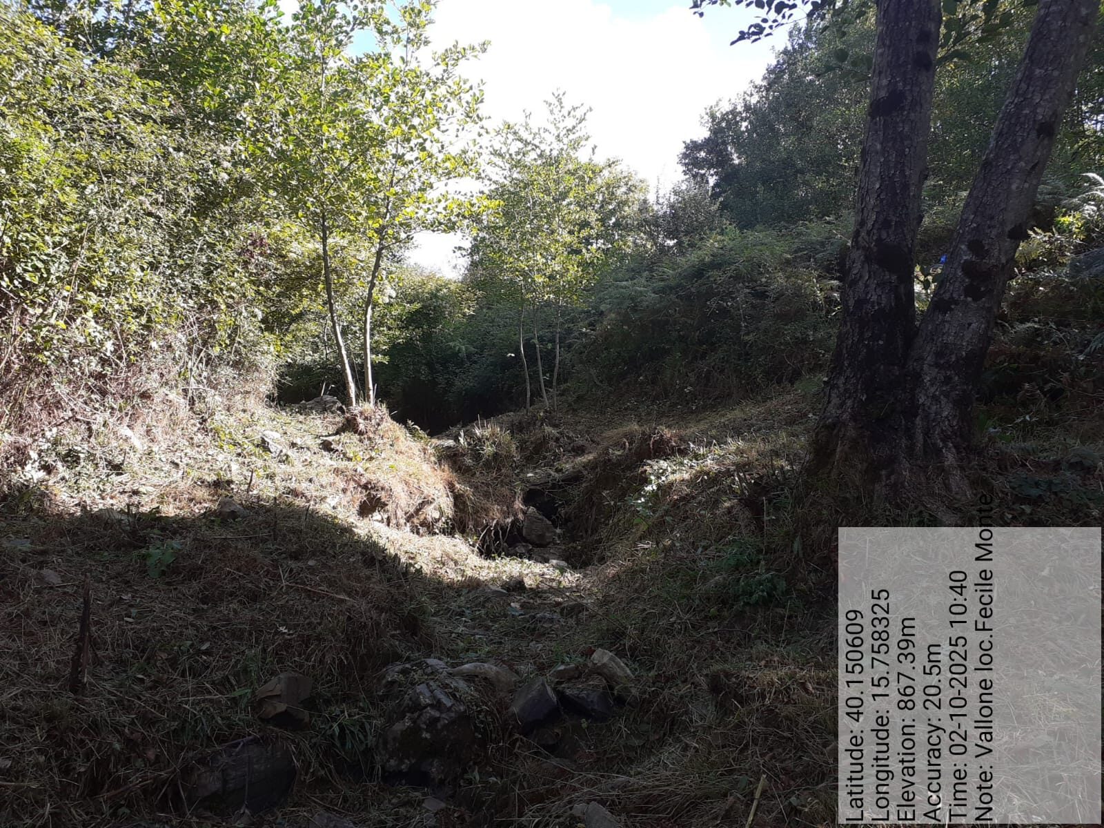 Galleria Fotografica Immagine