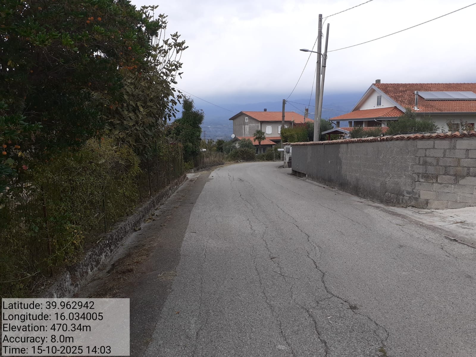 Galleria Fotografica Immagine