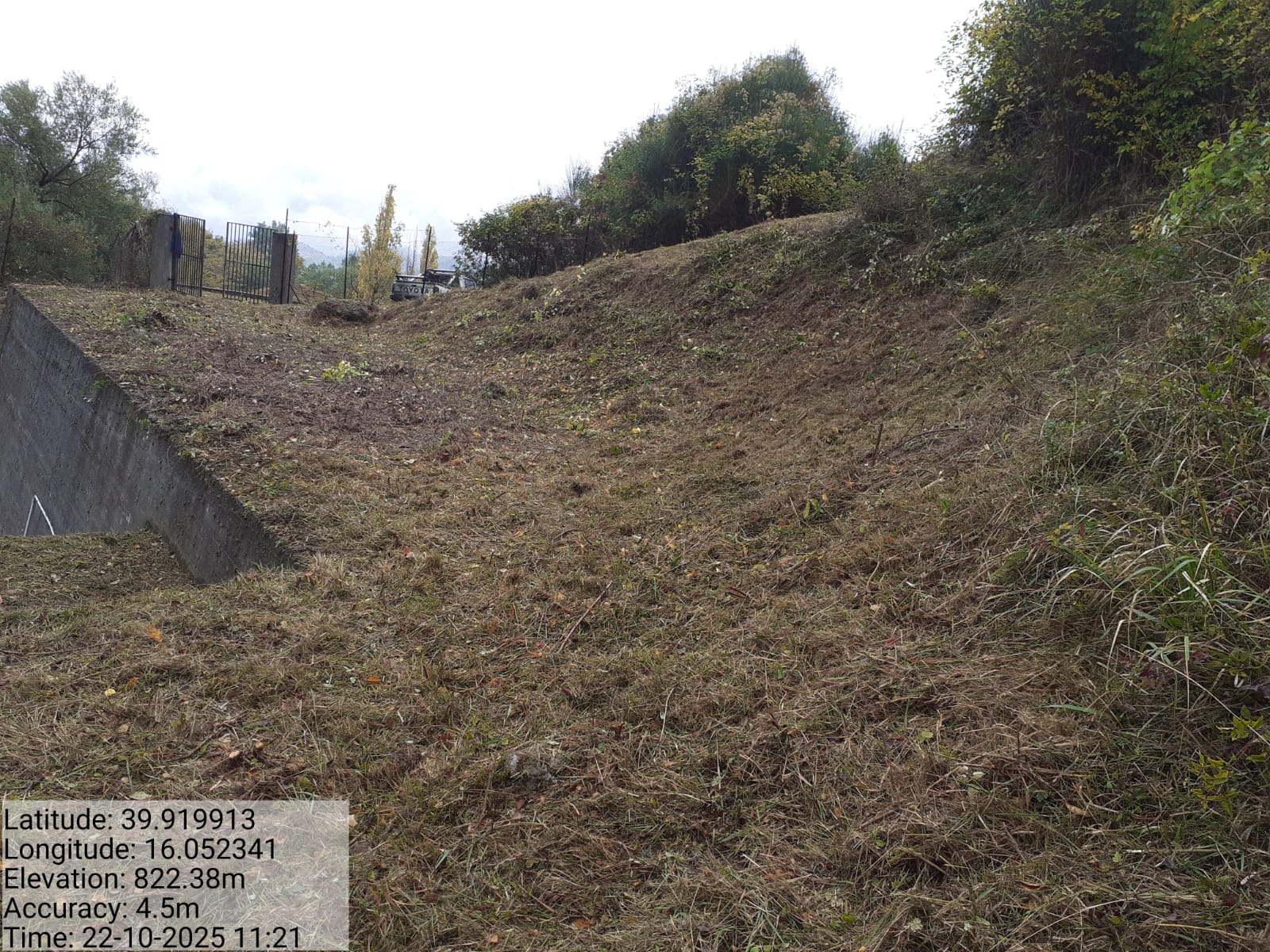 Galleria Fotografica Immagine