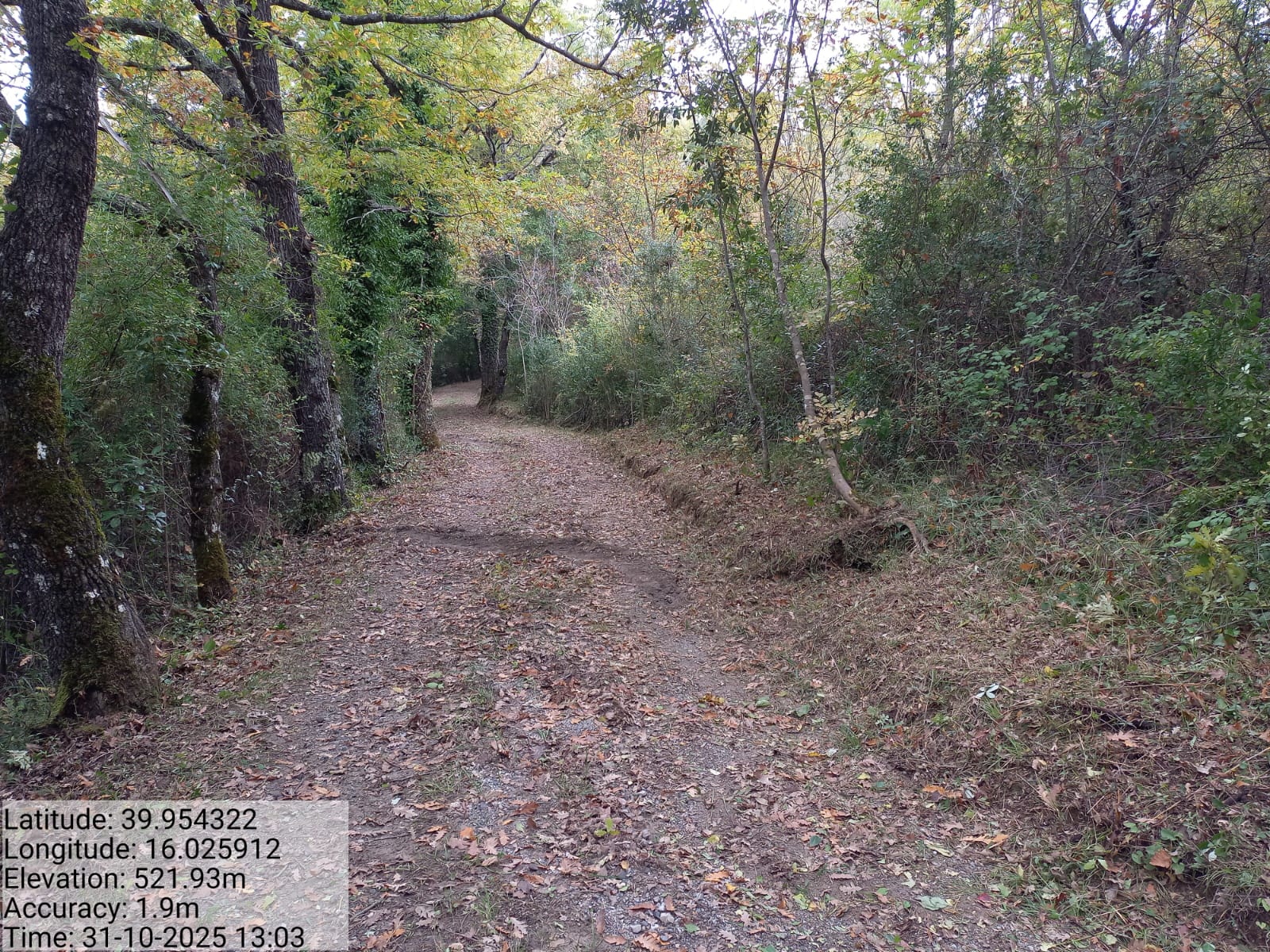 Galleria Fotografica Immagine