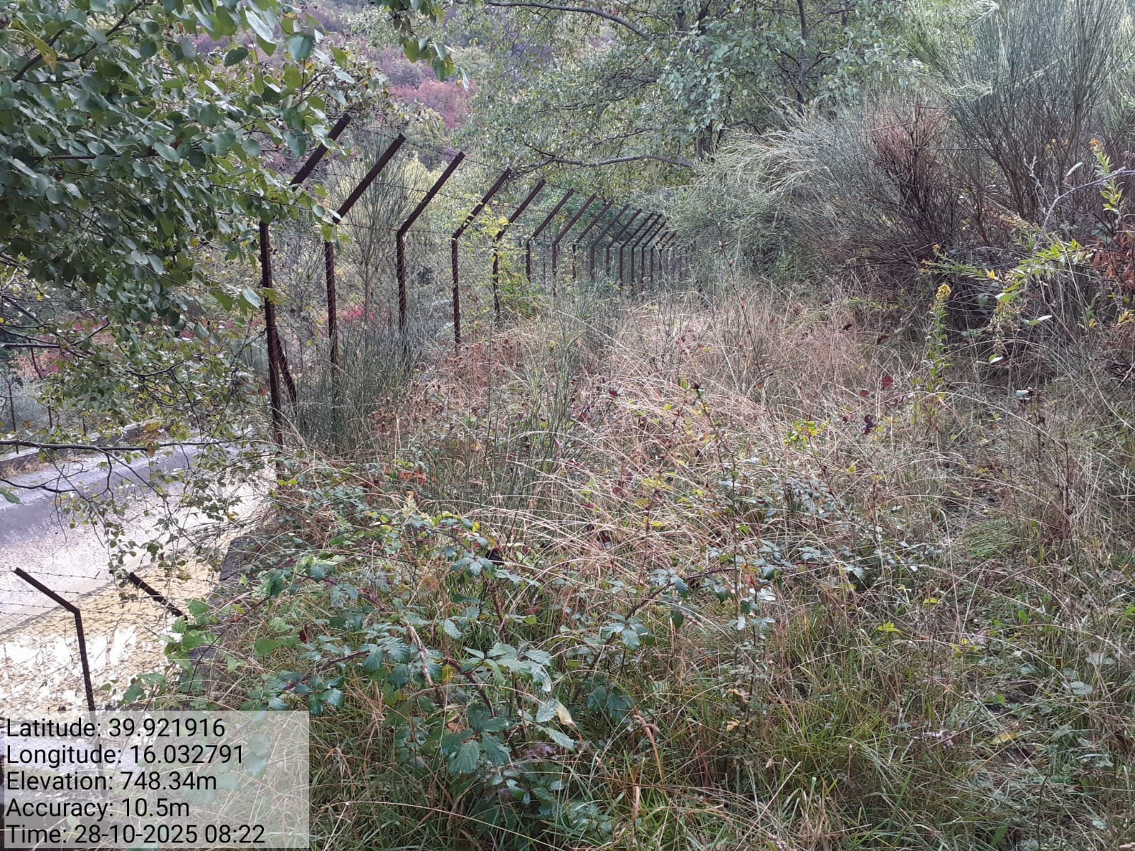 Galleria Fotografica Immagine