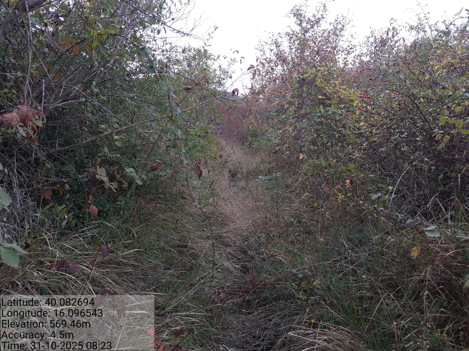 Galleria Fotografica Immagine