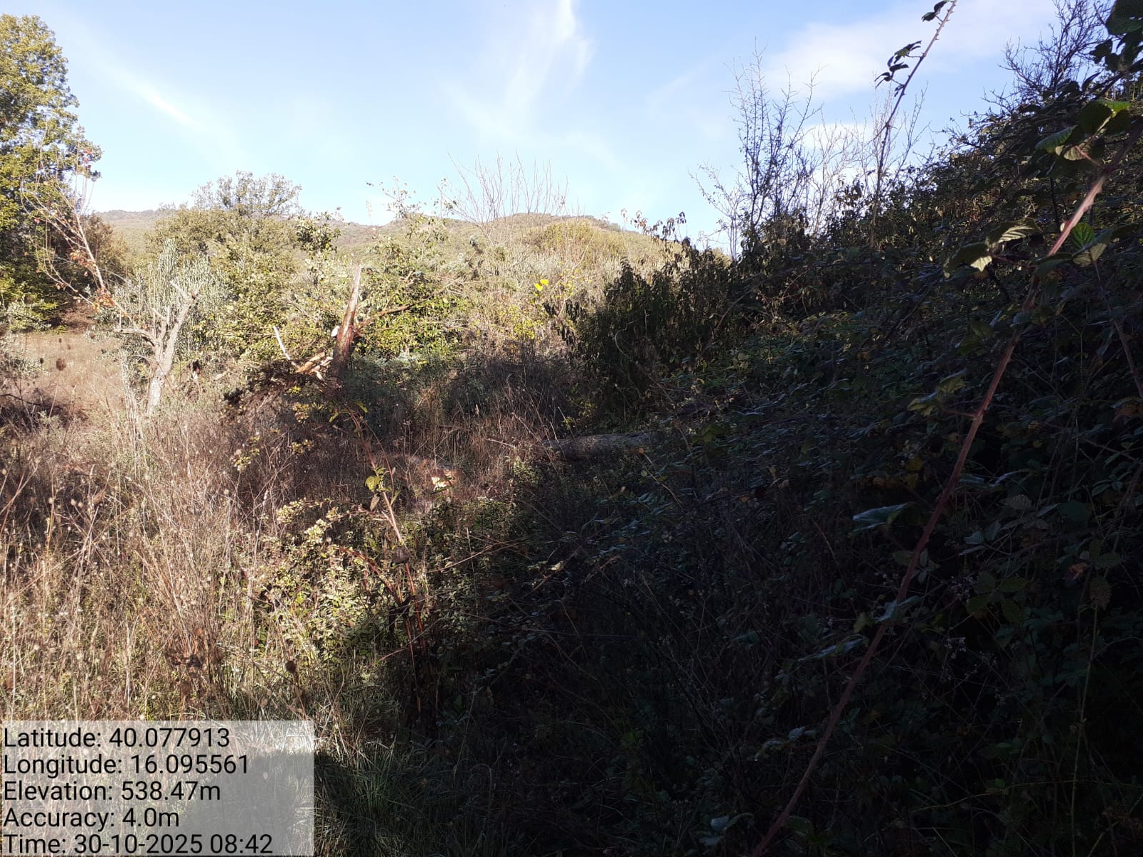 Galleria Fotografica Immagine