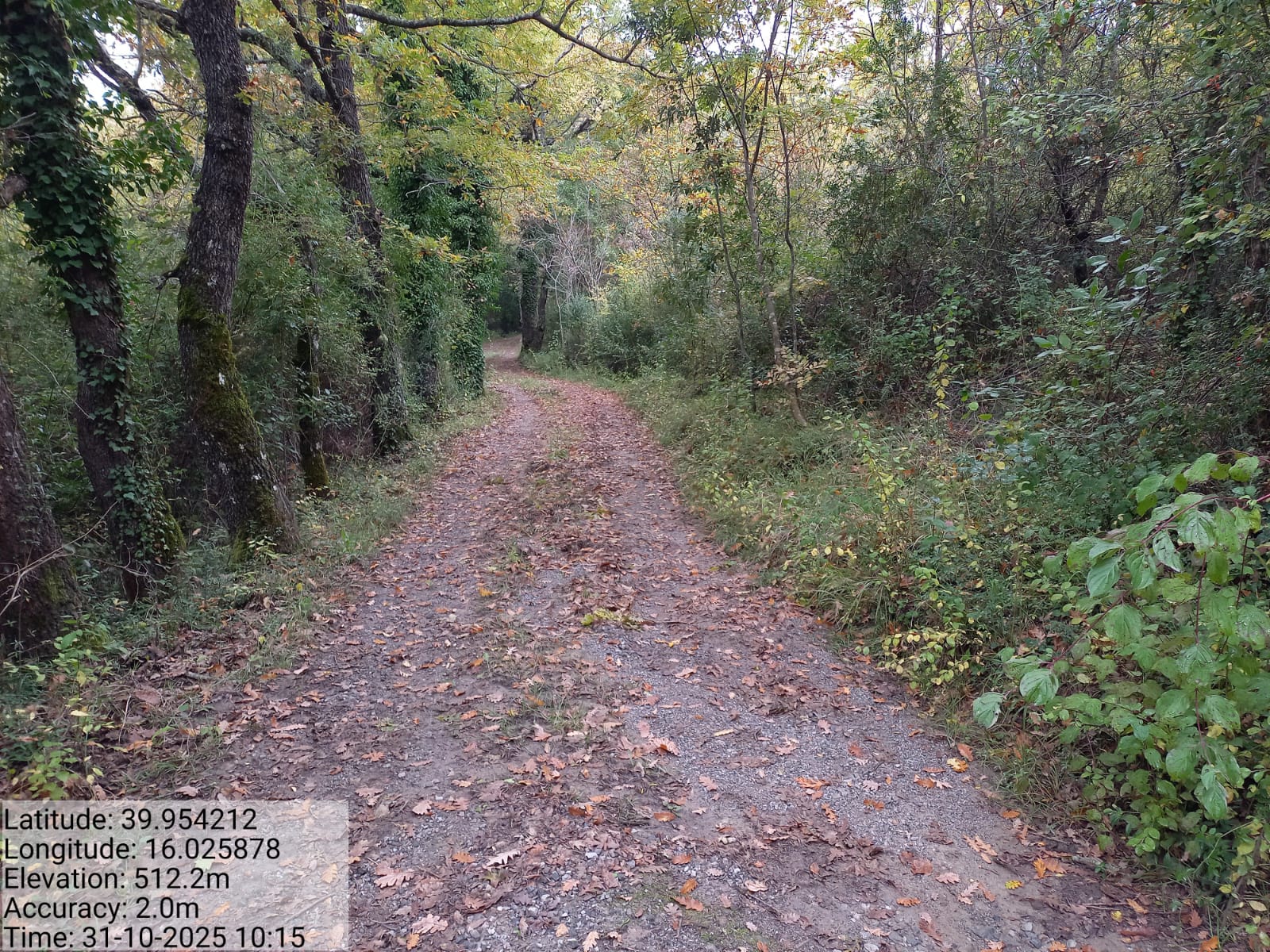 Galleria Fotografica Immagine