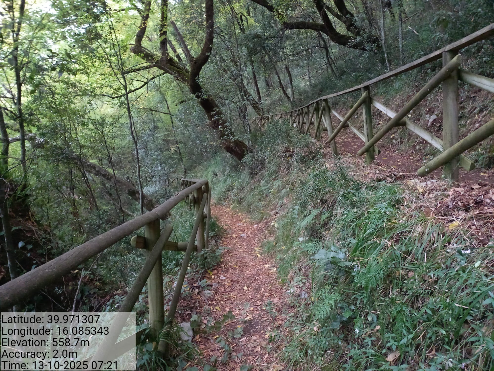 Galleria Fotografica Immagine