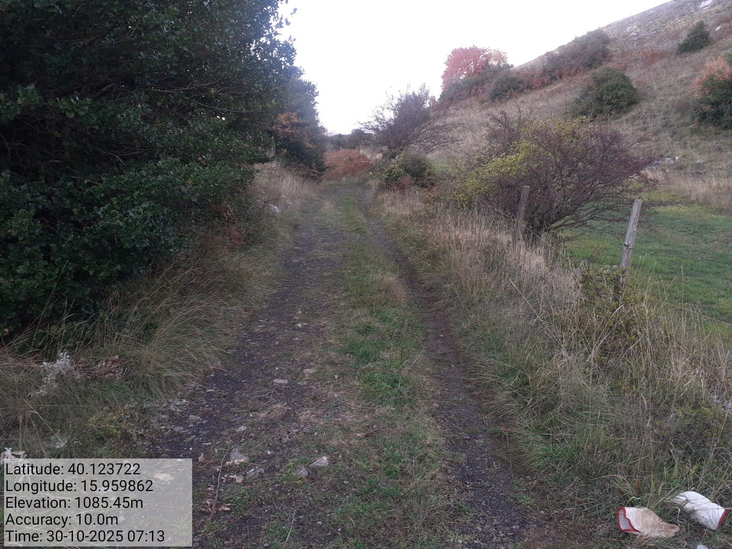 Galleria Fotografica Immagine