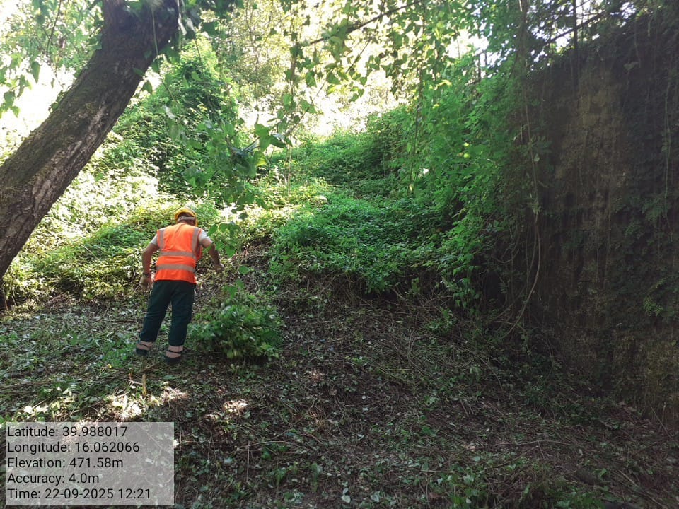 Galleria Fotografica Immagine