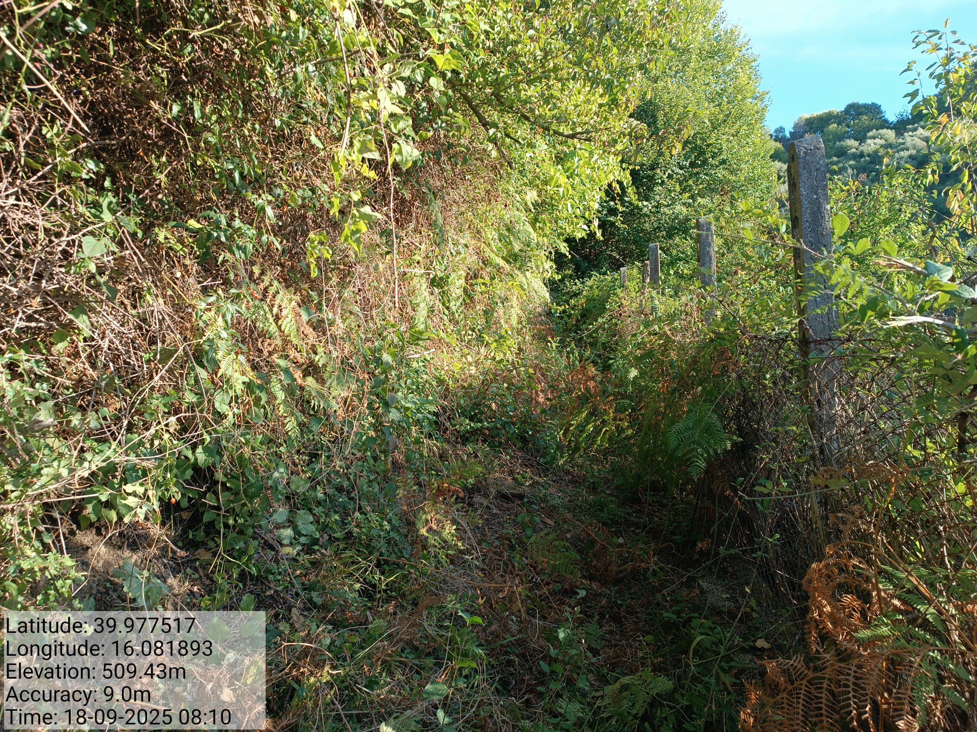 Galleria Fotografica Immagine