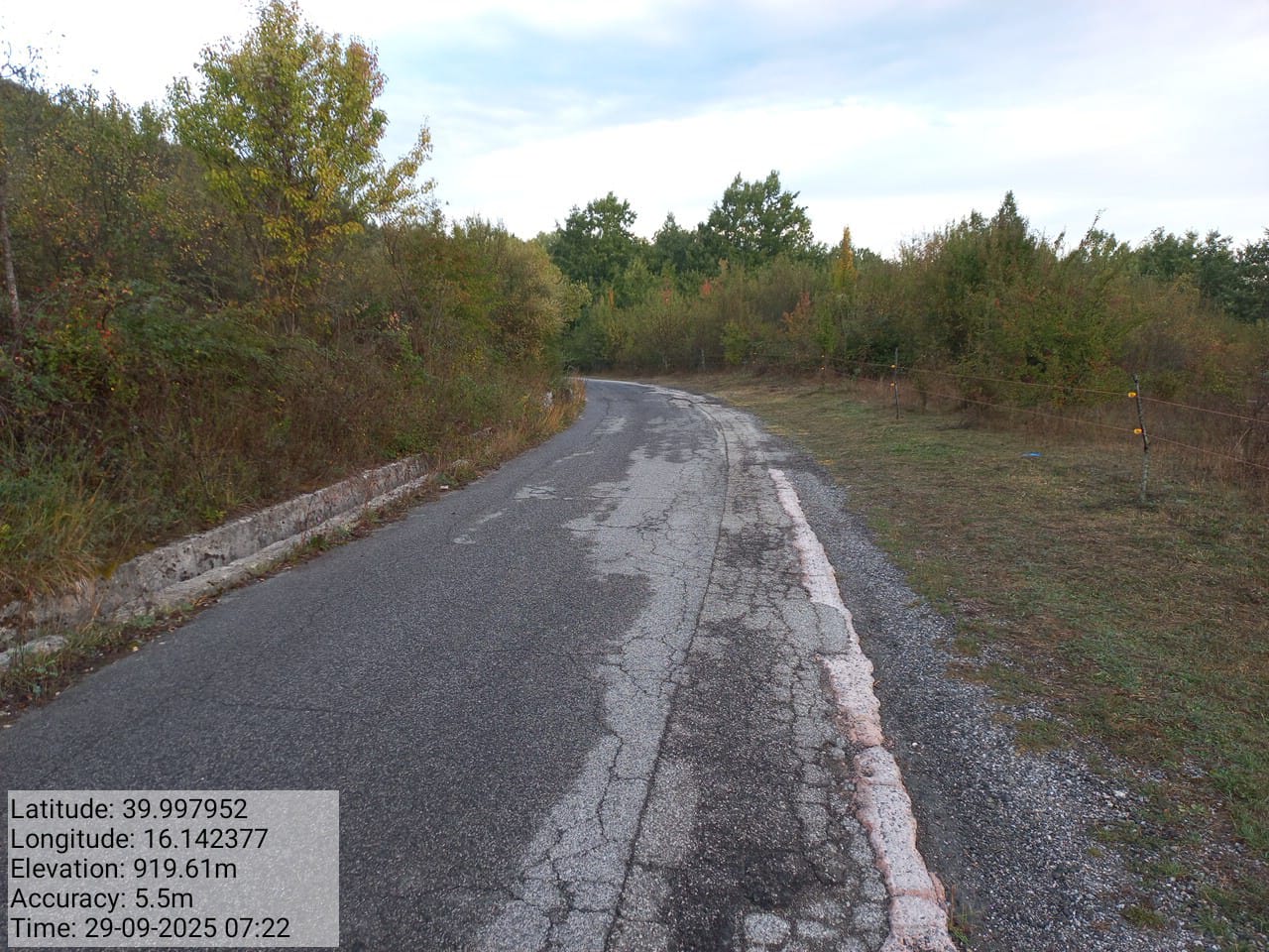 Galleria Fotografica Immagine