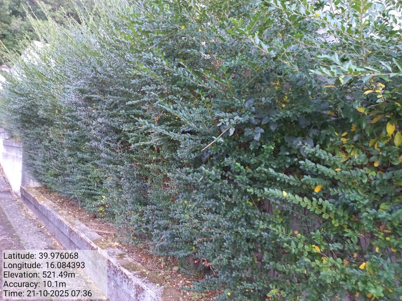 Galleria Fotografica Immagine