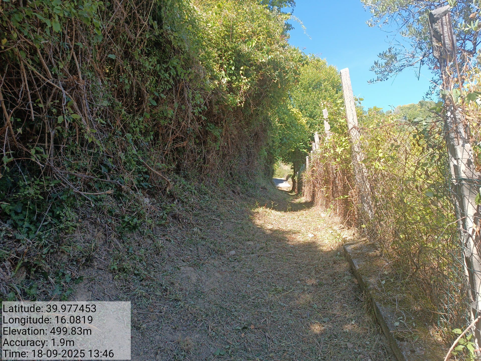 Galleria Fotografica Immagine