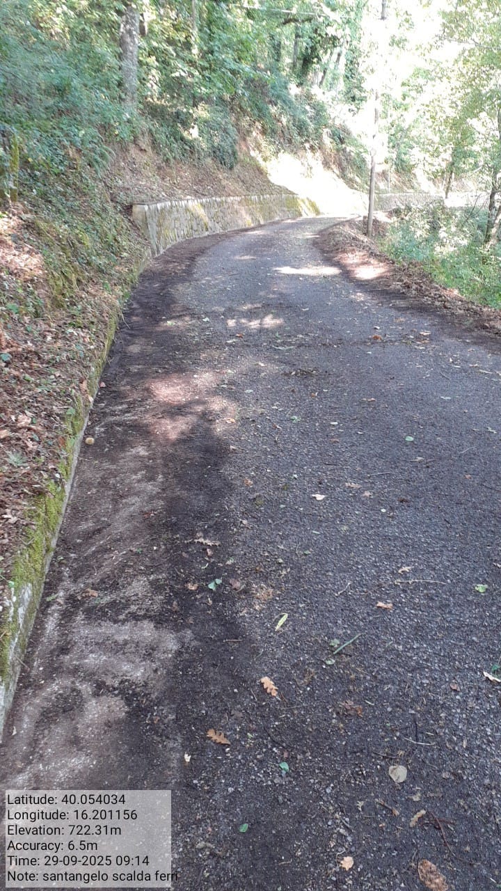 Galleria Fotografica Immagine