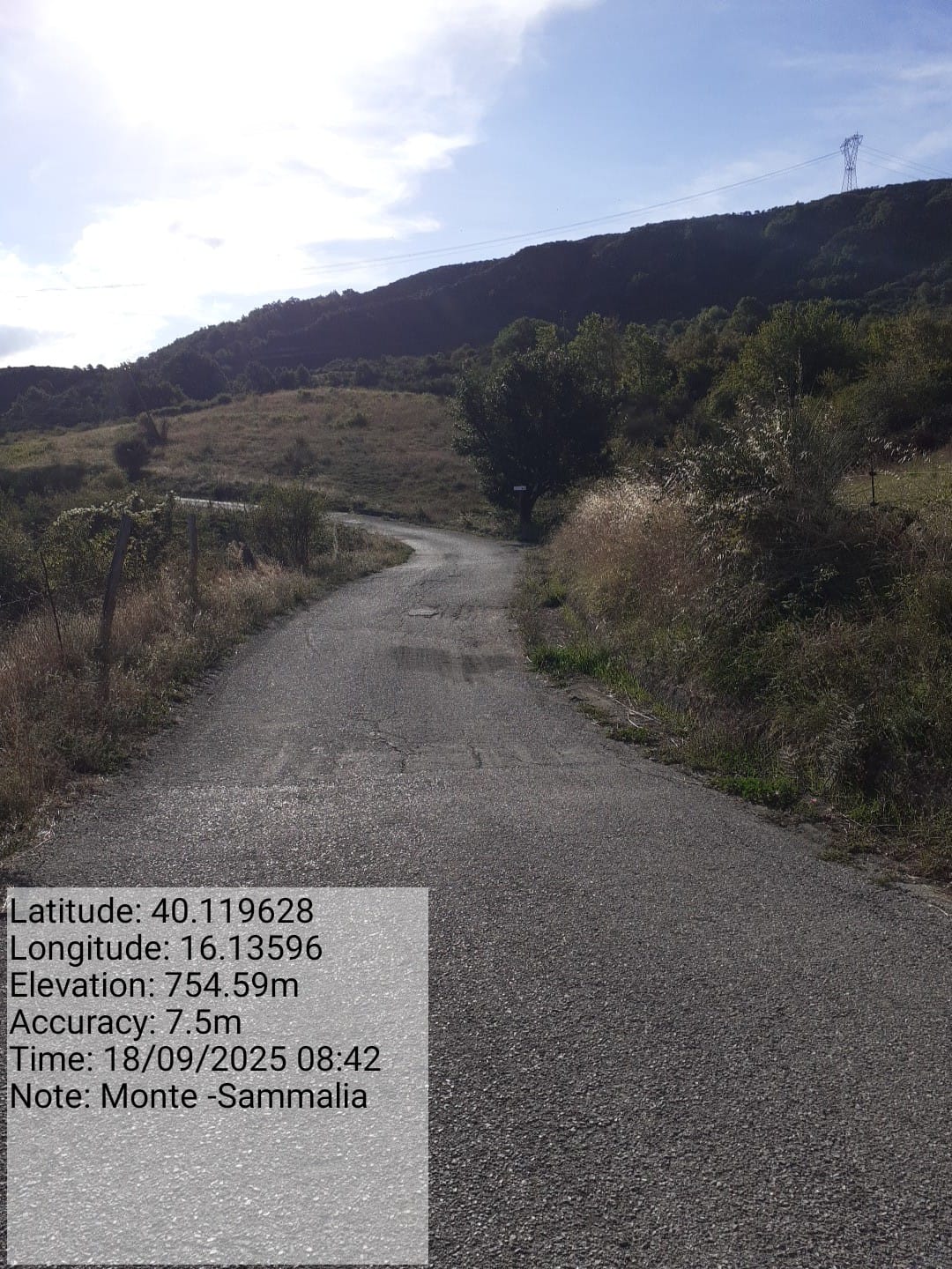 Galleria Fotografica Immagine