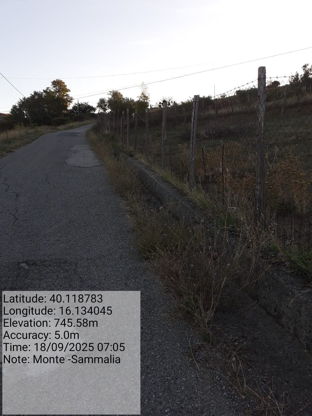 Galleria Fotografica Immagine