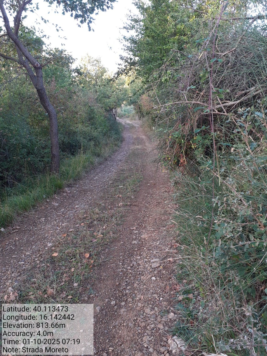 Galleria Fotografica Immagine