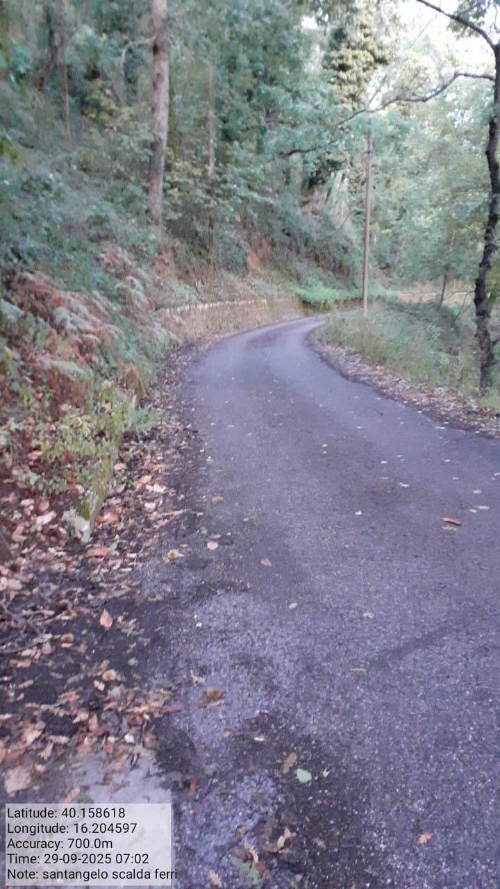 Galleria Fotografica Immagine