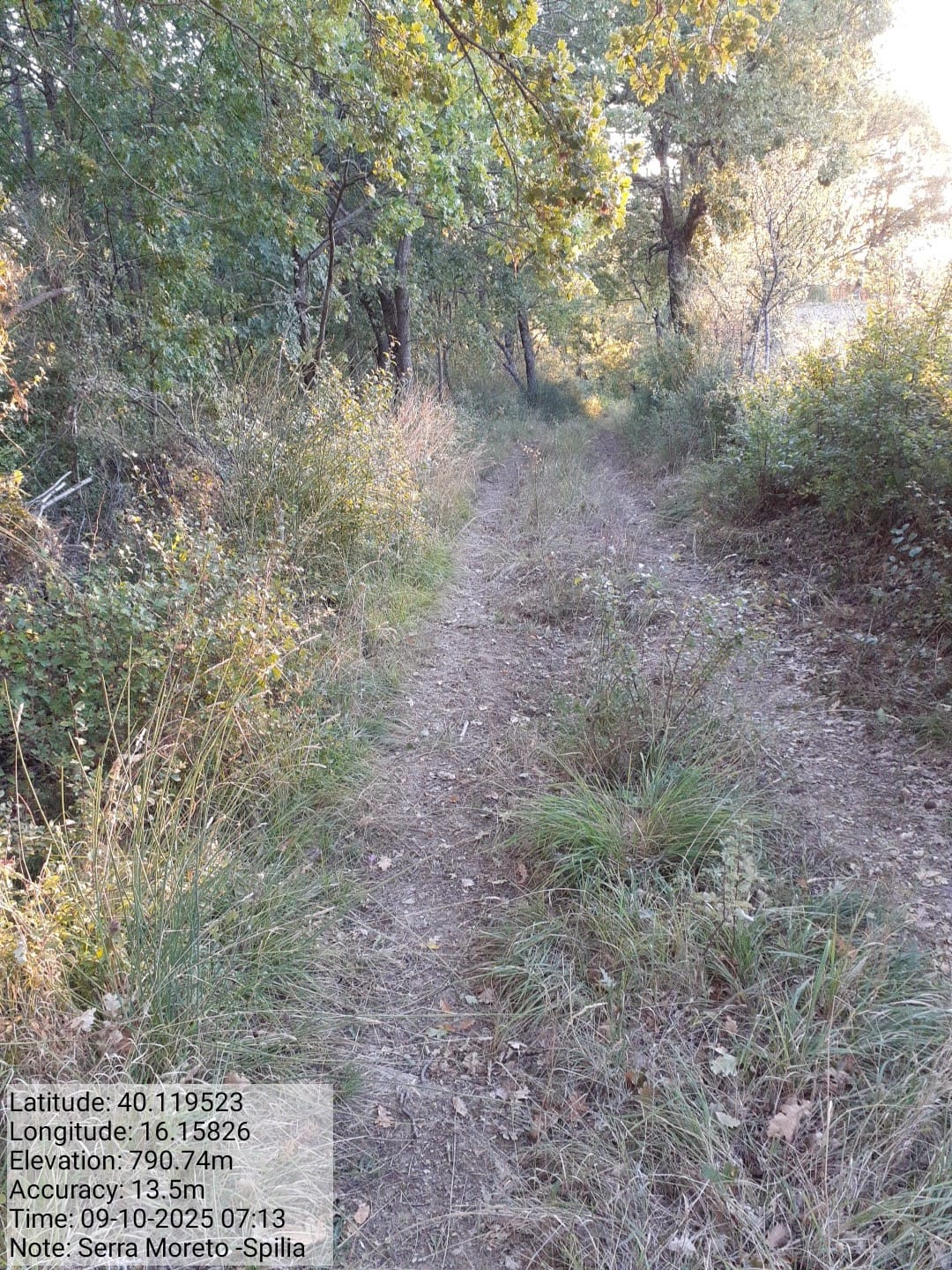 Galleria Fotografica Immagine