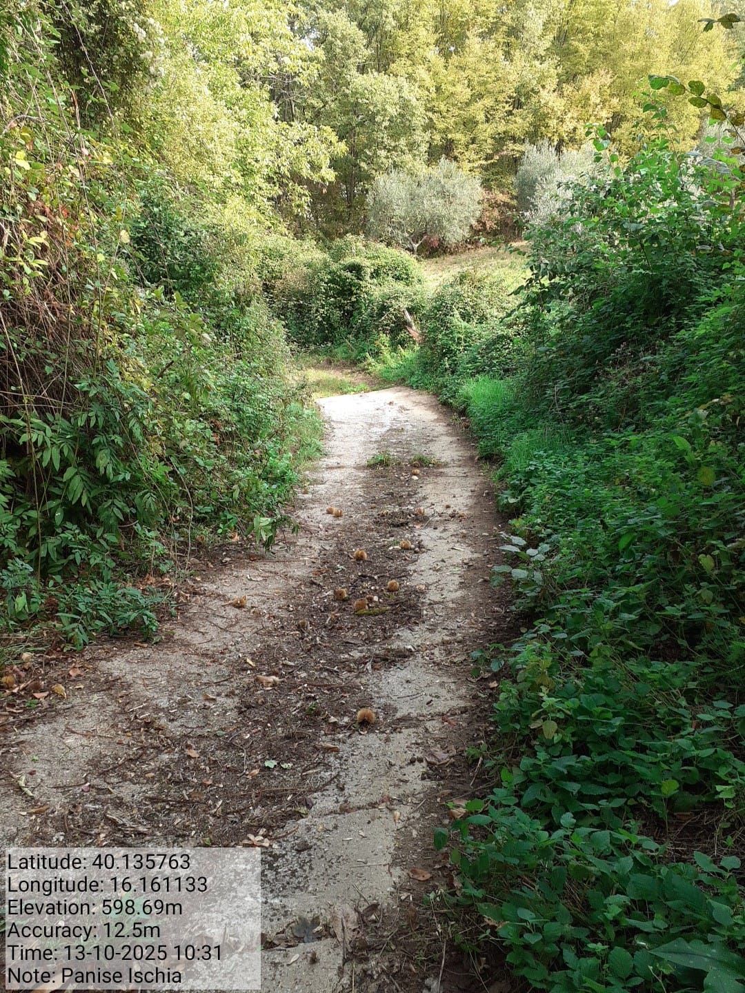 Galleria Fotografica Immagine